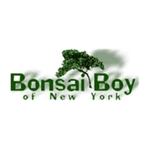 Bonsaiboy