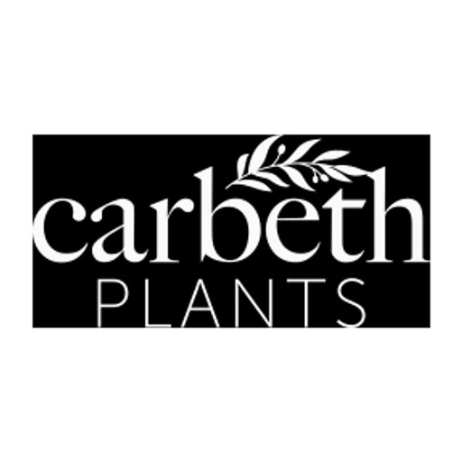 Carbethplants