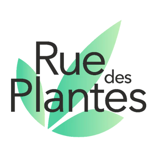 Ruedesplantes