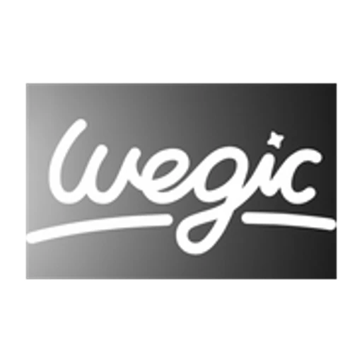 Wegic